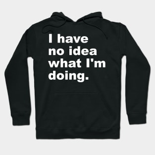 I Have No Idea What I'm Doing Hoodie